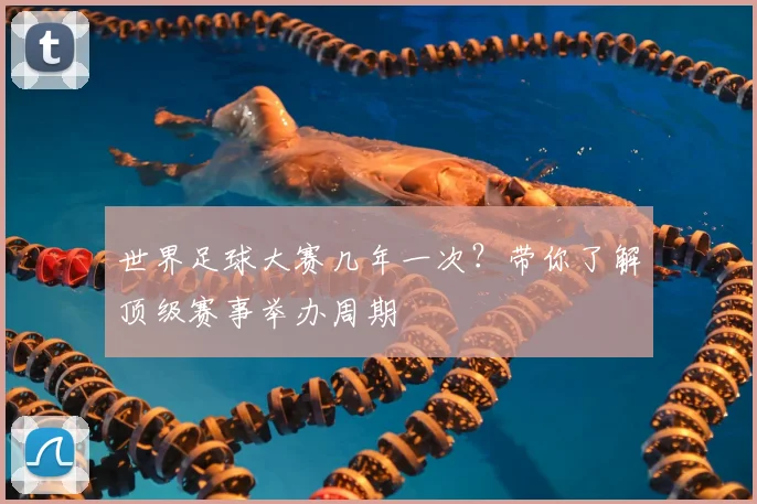 世界足球大赛几年一次？带你了解顶级赛事举办周期