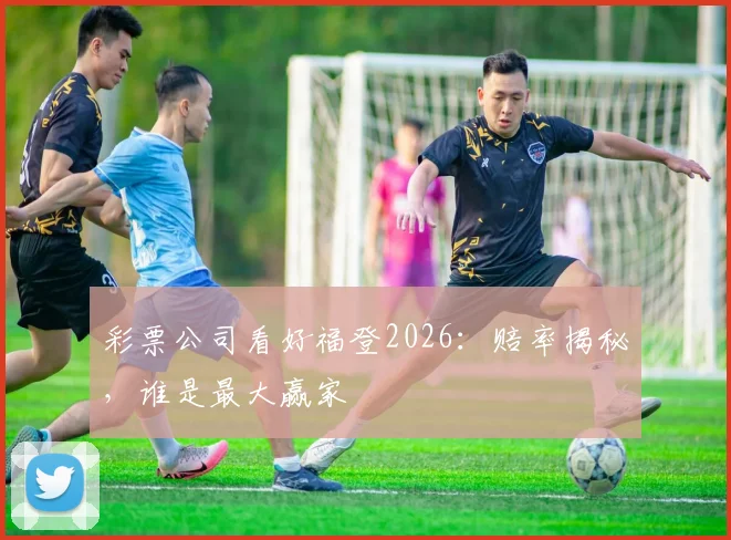 彩票公司看好福登2026：赔率揭秘，谁是最大赢家